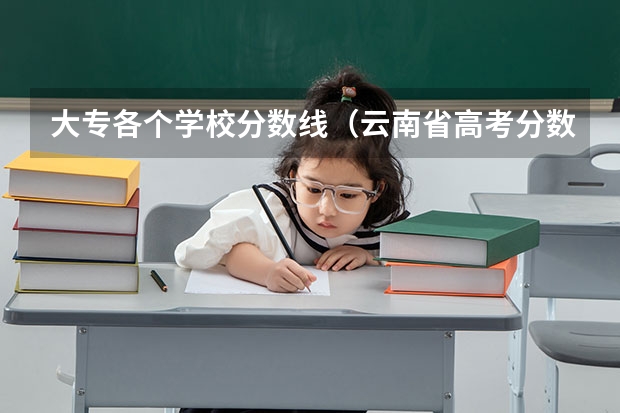 大专各个学校分数线（云南省高考分数线）