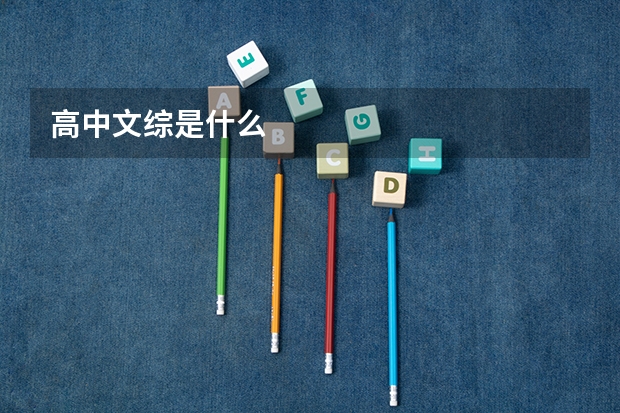 高中文综是什么
