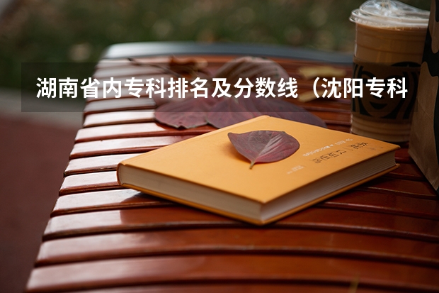 湖南省内专科排名及分数线（沈阳专科学校排行榜及录取分数线）