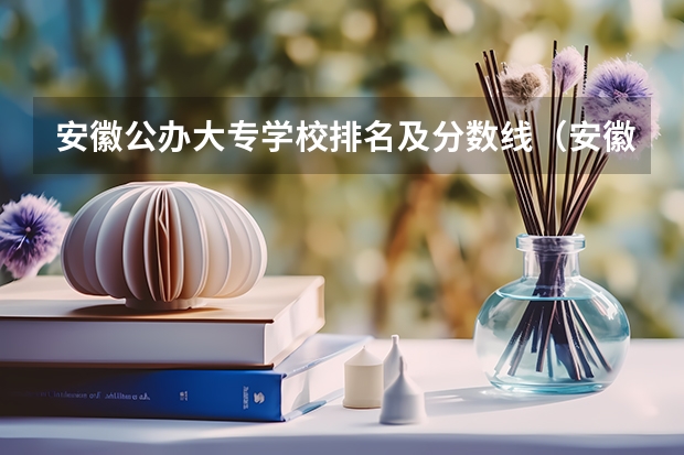 安徽公办大专学校排名及分数线（安徽合肥专科学校排名及分数线）