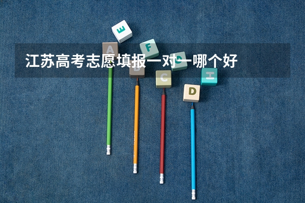 江苏高考志愿填报一对一哪个好