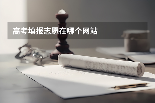 高考填报志愿在哪个网站