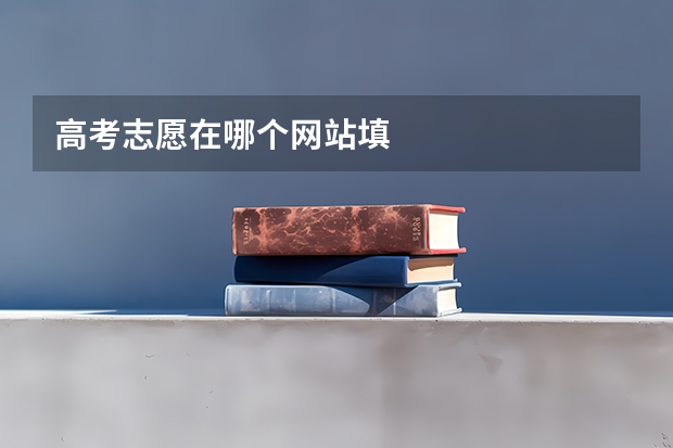 高考志愿在哪个网站填