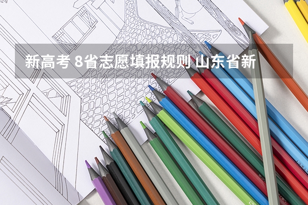 新高考 8省志愿填报规则 山东省新高考志愿填报规则