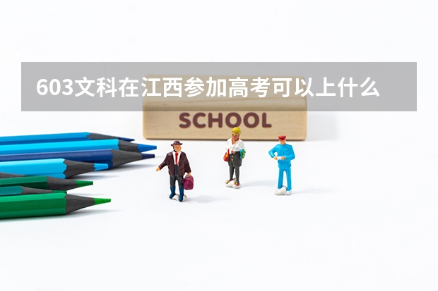 603文科在江西参加高考可以上什么大学