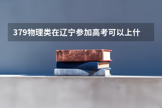 379物理类在辽宁参加高考可以上什么大学