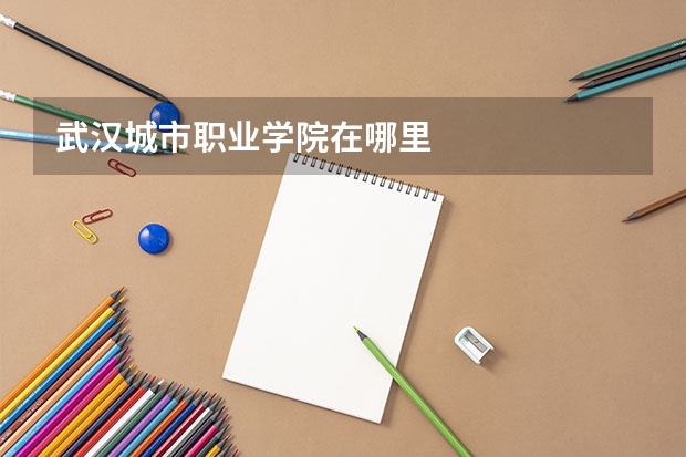 武汉城市职业学院在哪里