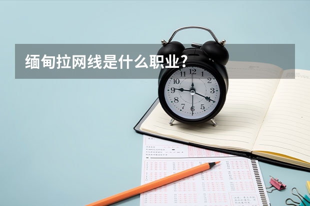 缅甸拉网线是什么职业?