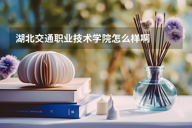 湖北交通职业技术学院怎么样啊
