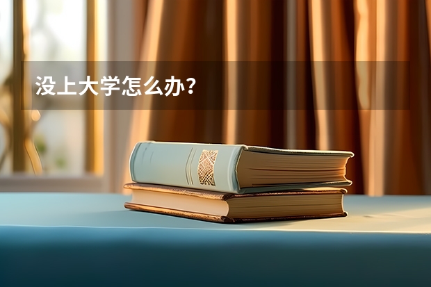 没上大学怎么办？