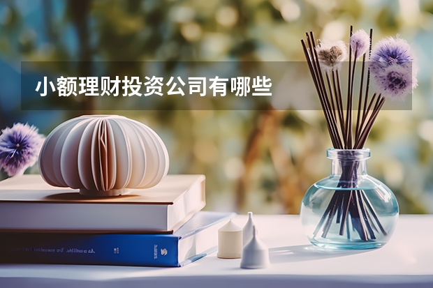 小额理财投资公司有哪些