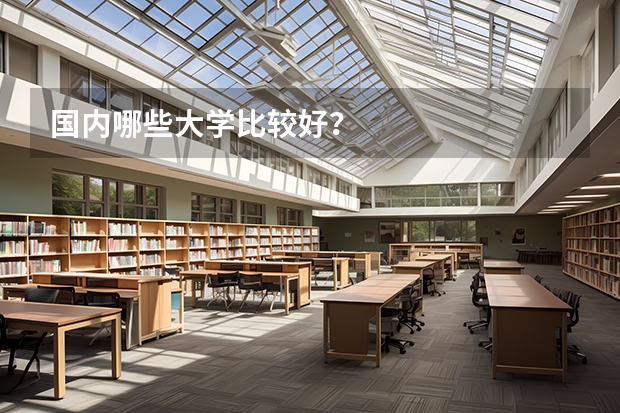 国内哪些大学比较好？