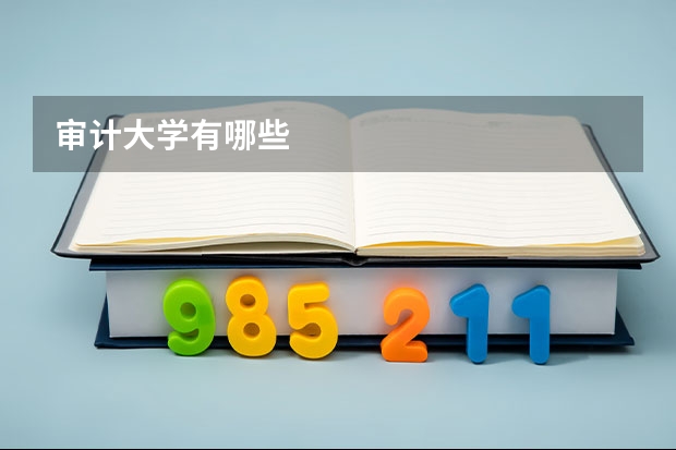审计大学有哪些