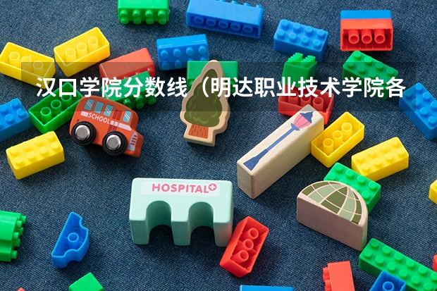 汉口学院分数线（明达职业技术学院各省最低录取分数线及位次）