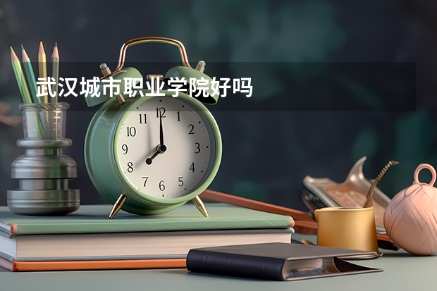 武汉城市职业学院好吗