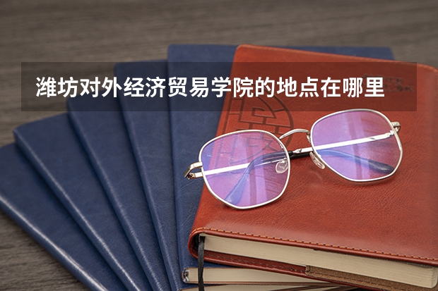 潍坊对外经济贸易学院的地点在哪里