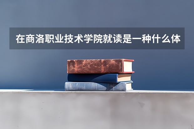 在商洛职业技术学院就读是一种什么体验？