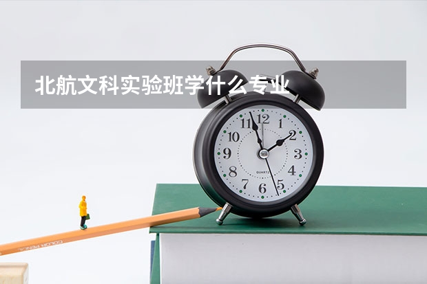 北航文科实验班学什么专业
