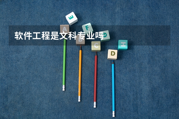 软件工程是文科专业吗