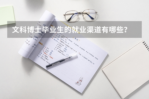 文科博士毕业生的就业渠道有哪些？