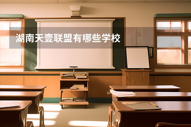 湖南天壹联盟有哪些学校