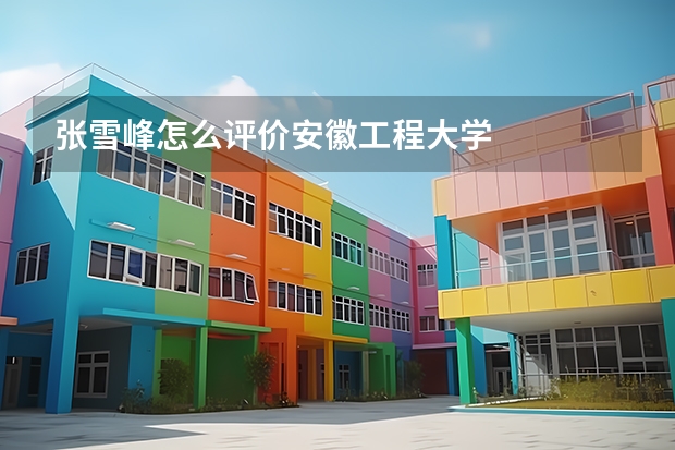 张雪峰怎么评价安徽工程大学