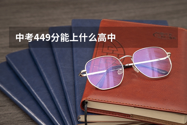中考449分能上什么高中