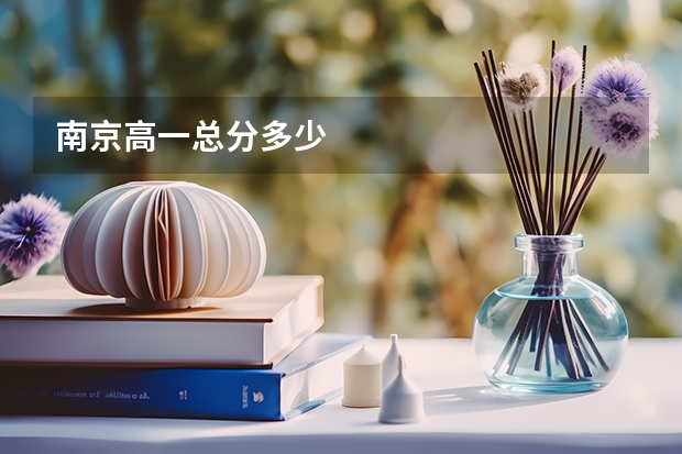 南京高一总分多少
