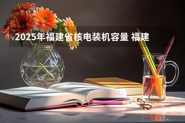 2025年福建省核电装机容量 福建省2025遴选职位表