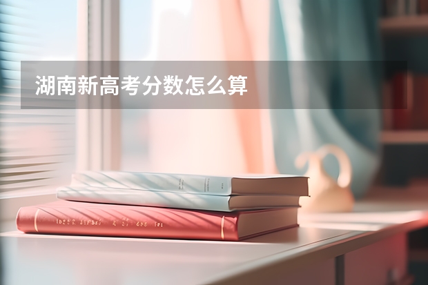 湖南新高考分数怎么算