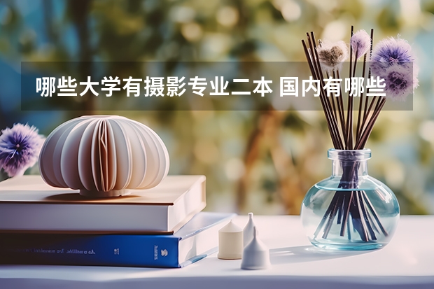 哪些大学有摄影专业二本 国内有哪些大学有摄影专业