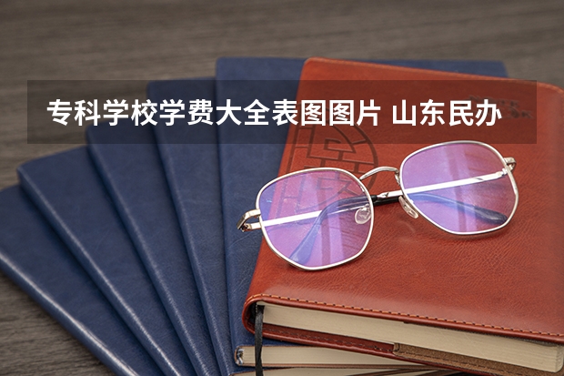 专科学校学费大全表图图片 山东民办专科学费一览表