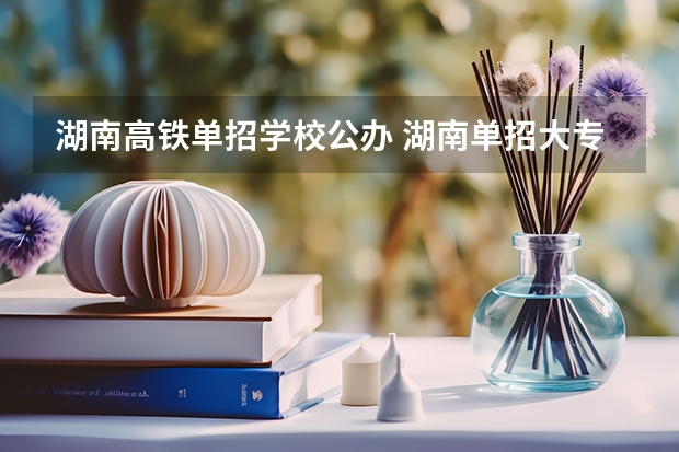 湖南高铁单招学校公办 湖南单招大专排名
