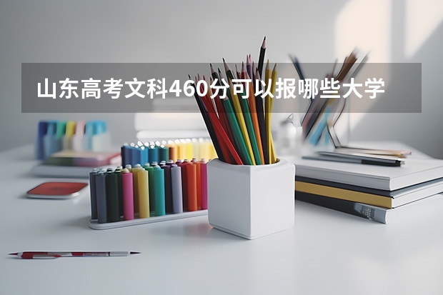 山东高考文科460分可以报哪些大学