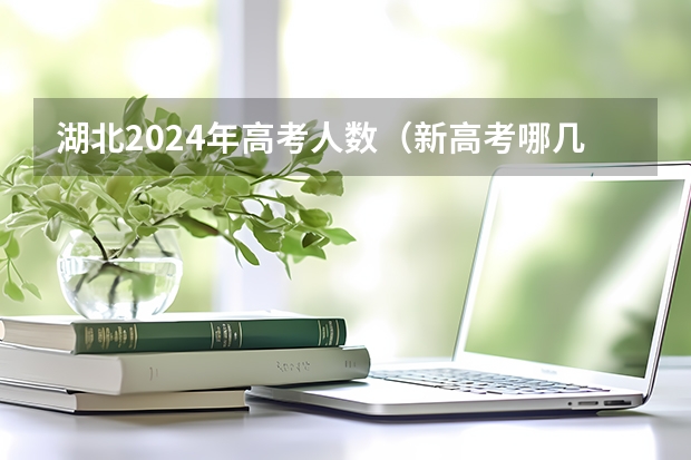 湖北2024年高考人数（新高考哪几个省份2024？）