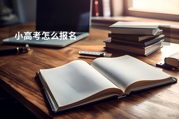 小高考怎么报名