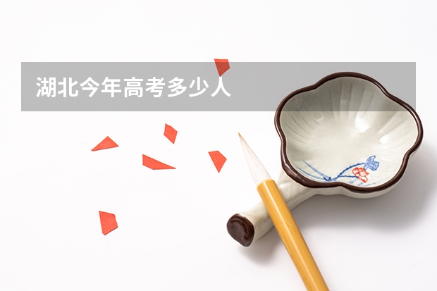 湖北今年高考多少人