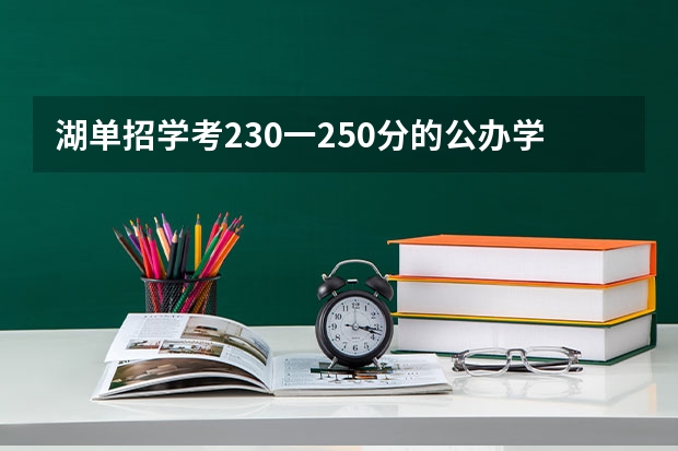 湖单招学考230一250分的公办学校有那些（湖南单招学校推荐）