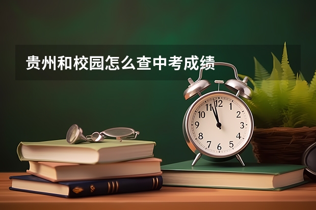 贵州和校园怎么查中考成绩